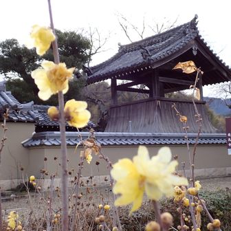 日本最古「飛鳥寺」へ