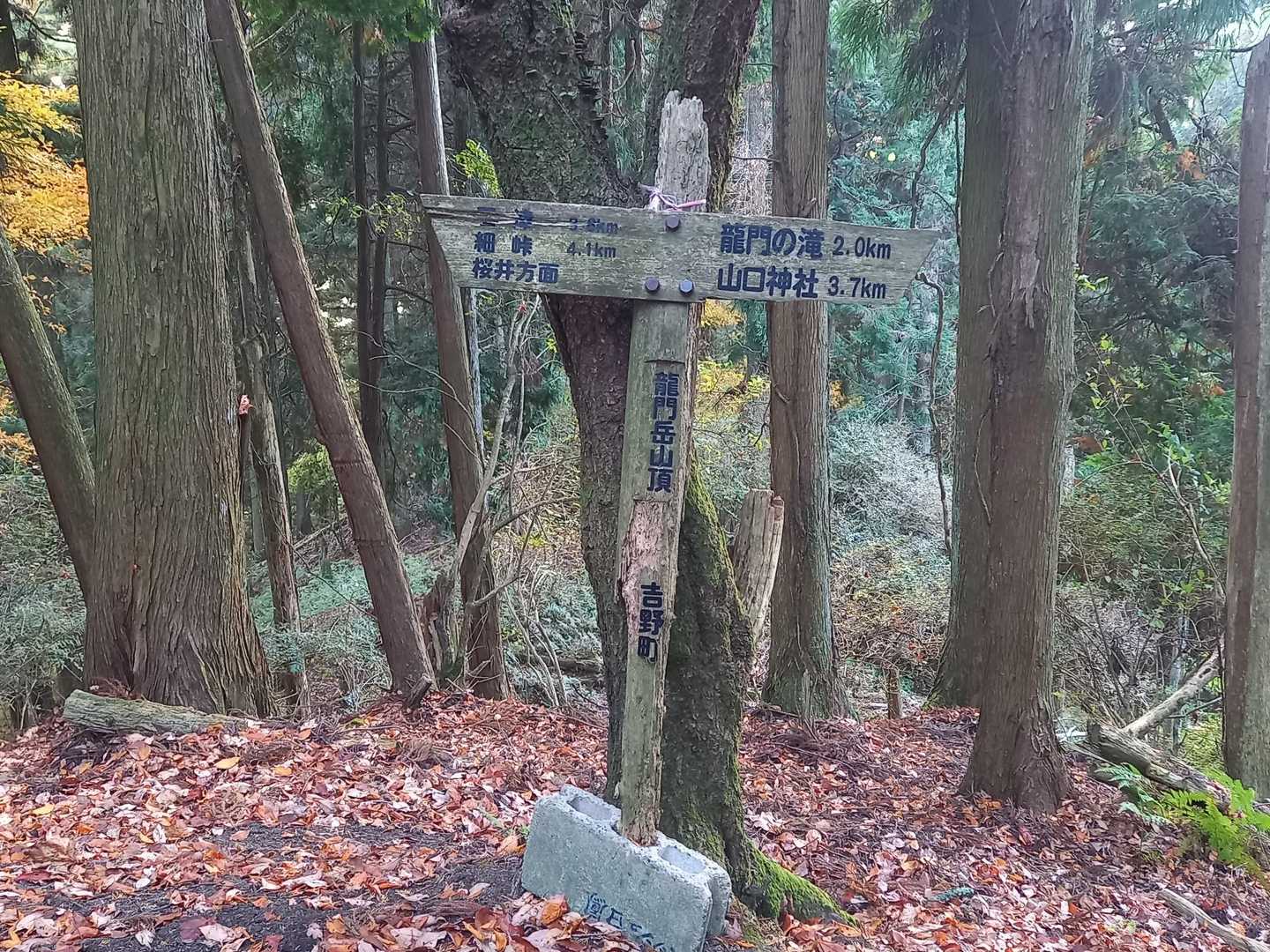 300名山、竜門岳の山頂🙌
これで日本300名山は238/301座に🙌あっという間でした😃