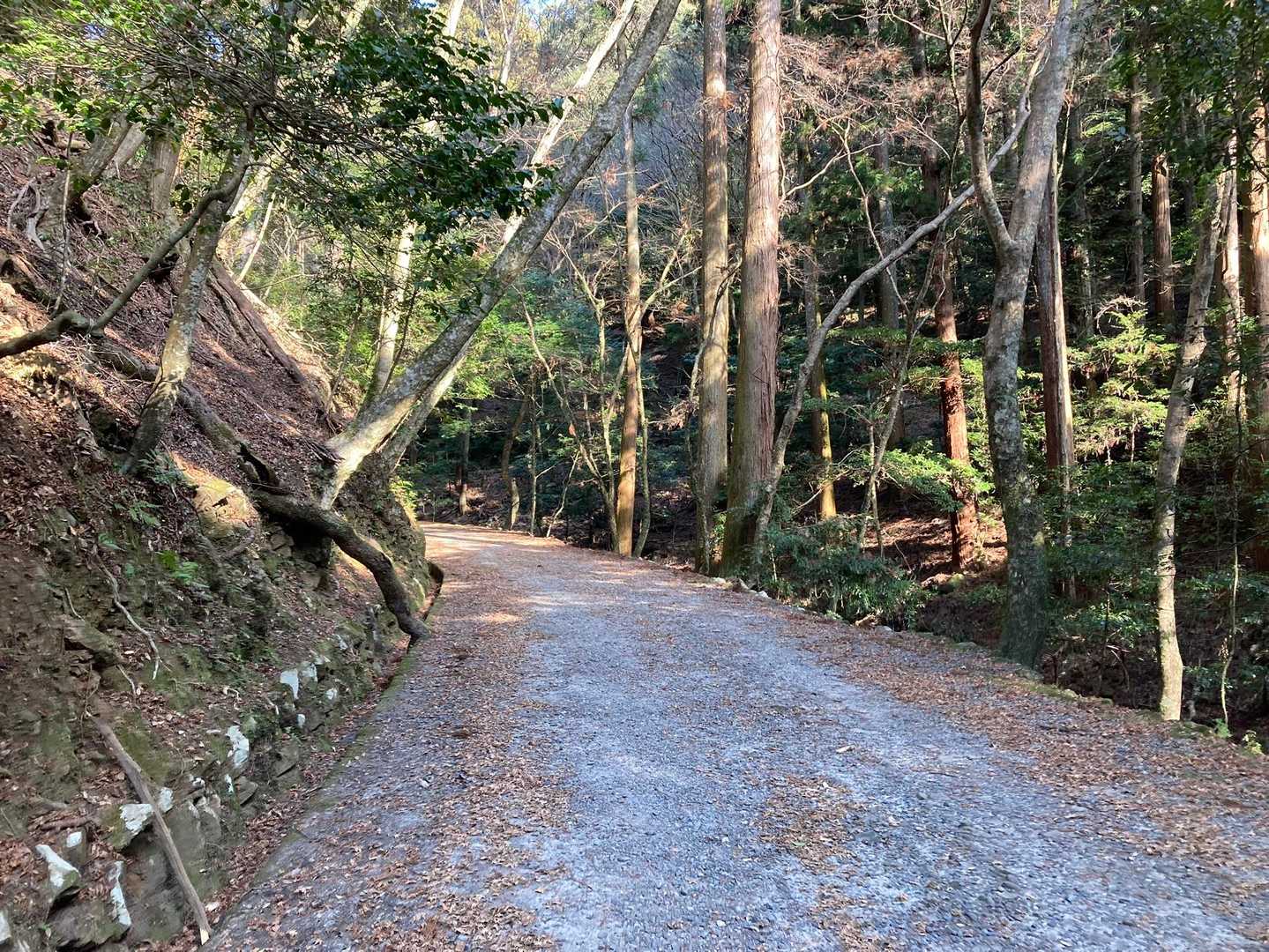 ずっとこんなダートです