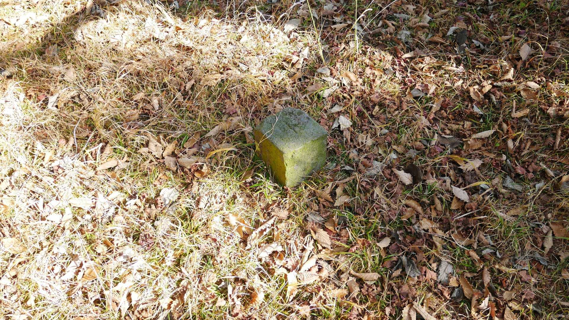 長尾山
ここも山頂標識見つからず～