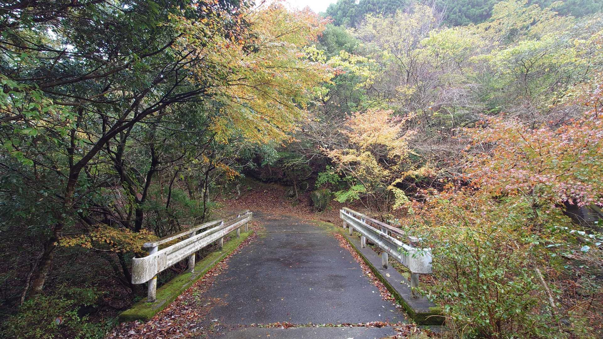 橋を渡ると登山口です