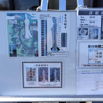 観音像の説明
観音さんの内部を歩いて登れます