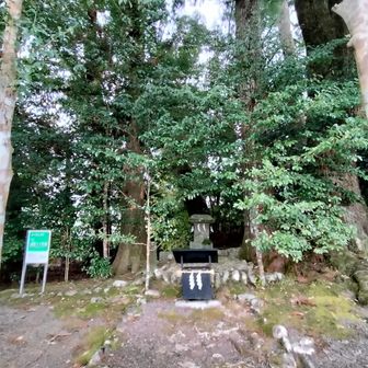 熊野古道 小辺路 祓殿王子