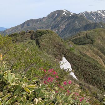 【三ノ峰】方向
手前の花はムラサキヤシオ
