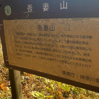鶴巻温泉駅から登れば、吾妻山山頂展望台でも、ご来光が見えます。