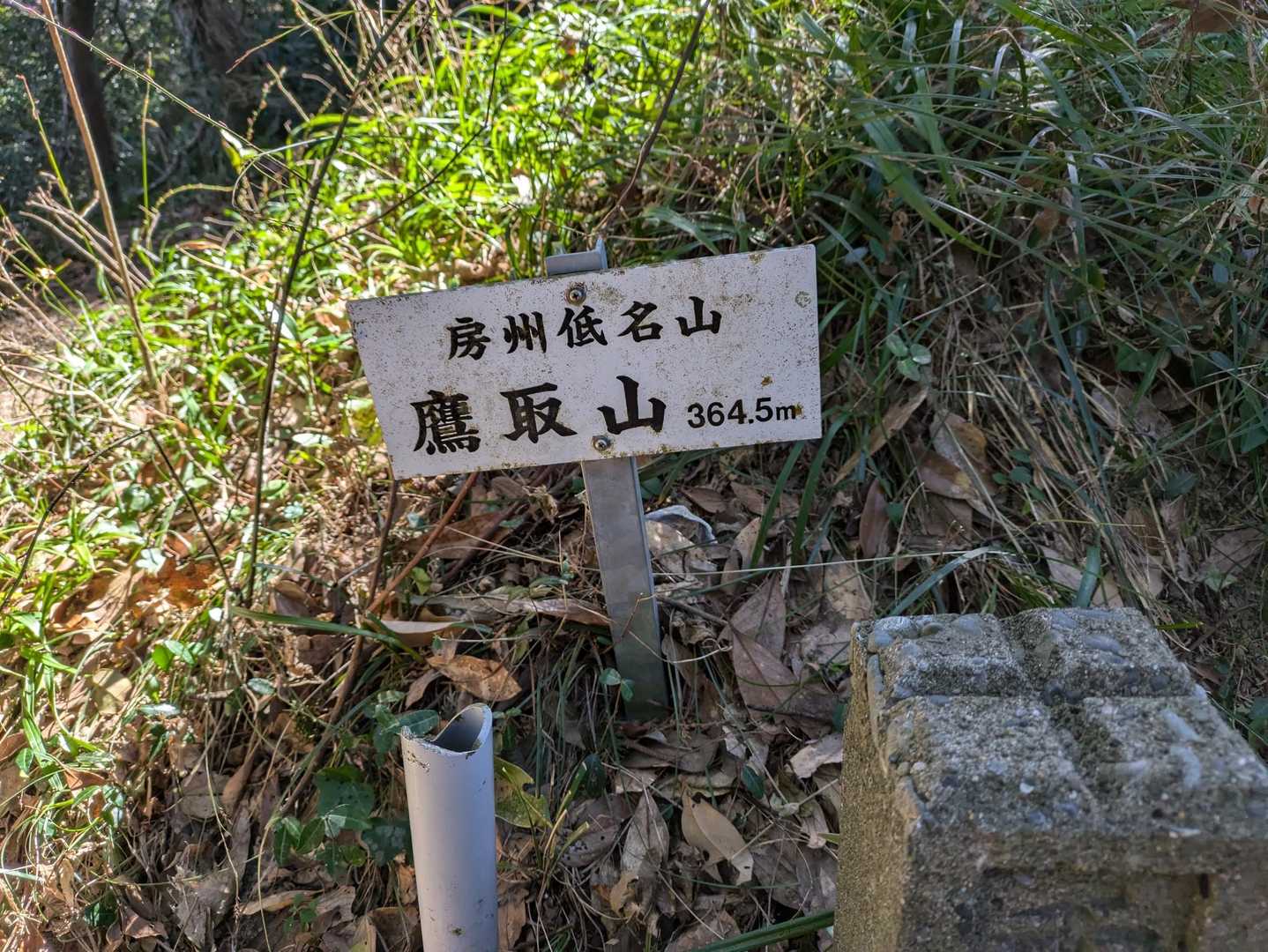 アップダウンを繰り返し次のピークの鷹取山到着