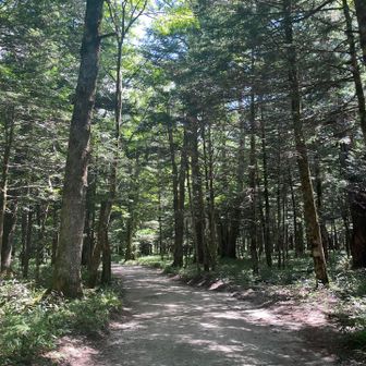 果てしなくずーっと平地