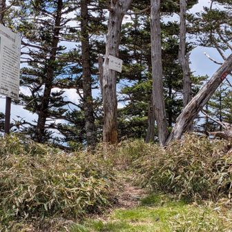 動揺したこともあって復帰にかなり脚を使ってしまい、登り返してやっと北峰に戻ってこれた。
コースタイム60分のところ90分かかってる。。