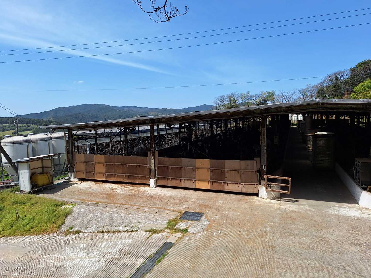 八木山畜産の牛舎に到着。
牛🐮がたくさん。
付近には、カラスもたくさん。