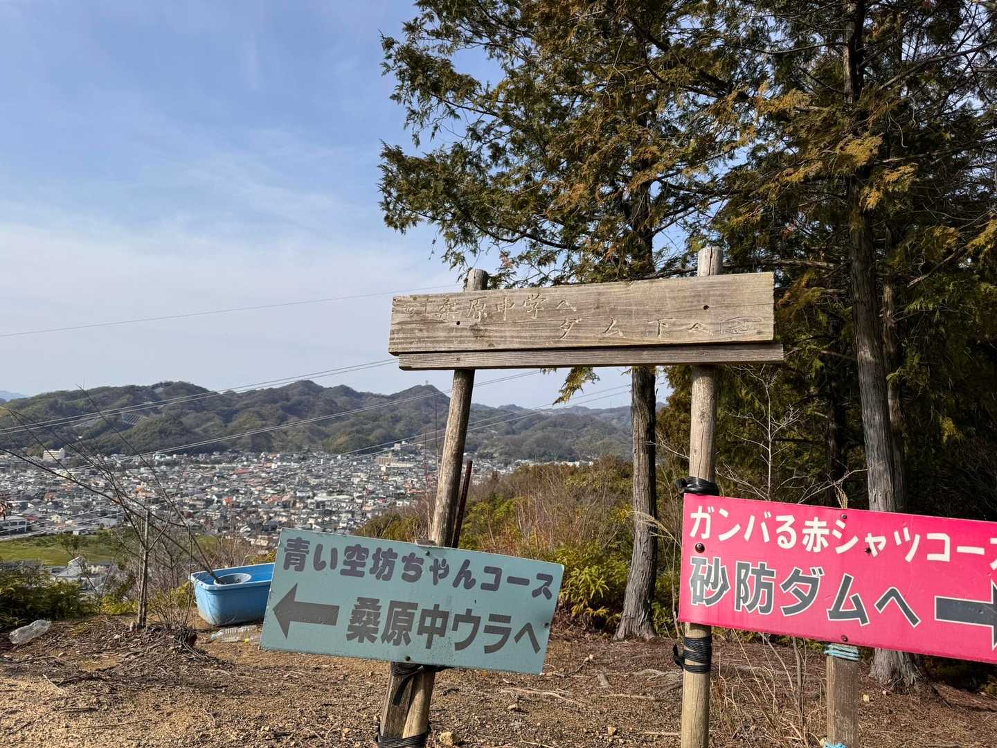 さて　どっちの道を選ぼうか