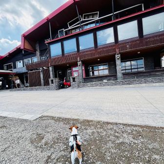 王ヶ頭ホテル👑