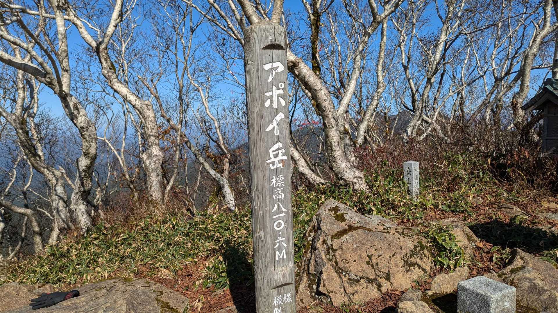 冬島登山口-入林届出所-アポイ岳-吉田岳 往復コースの写真