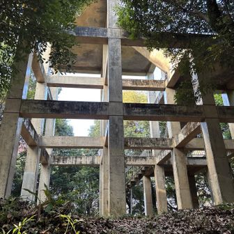神園山展望所の横を通過しましたが、この辺りからヤブ蚊🦟の猛攻が😵