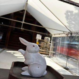 宇治神社のみかえりうさぎ🐰