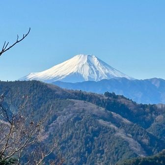 雪被った富士山⛰️は素敵です。