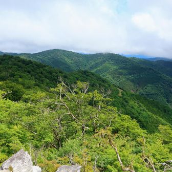 北山犬切〜石楠山の稜線と思いますダイナミックな山容は脊梁そのもの
いつか歩きたい❗