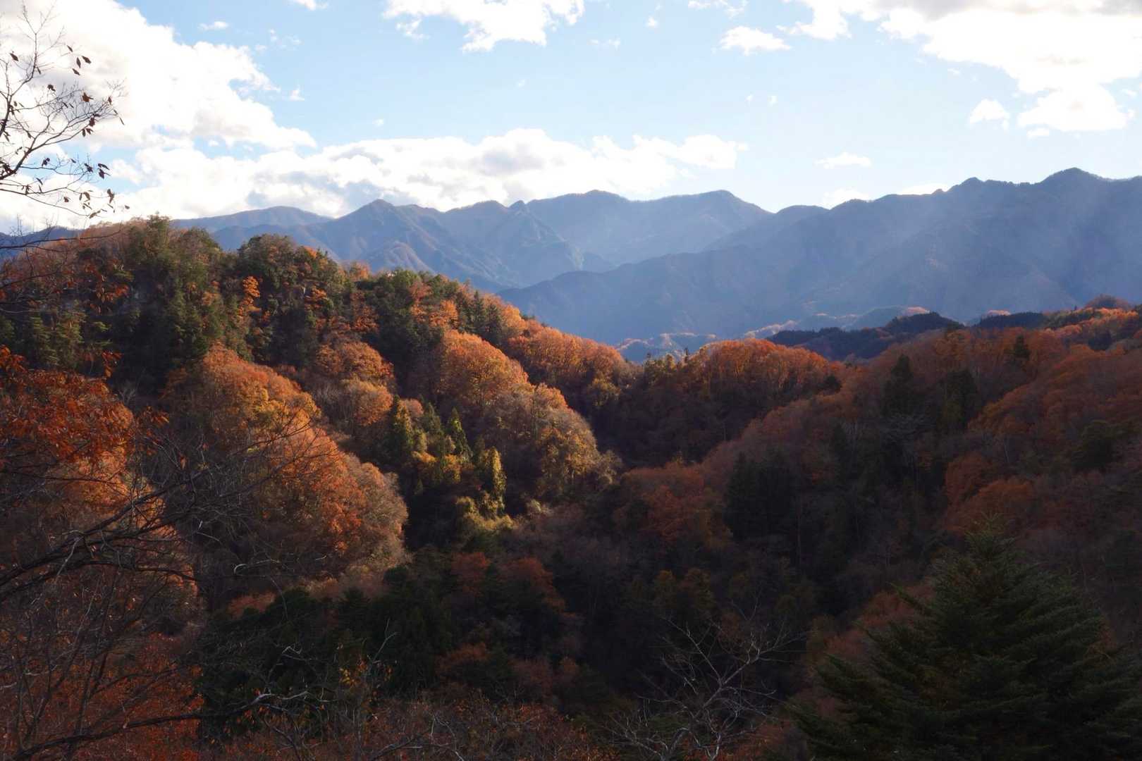 今シーズンの紅葉はもう終わりかな