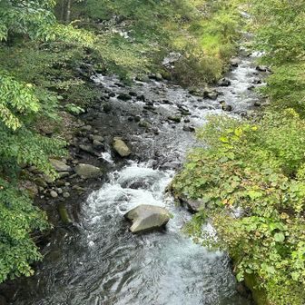 お水✨キレイ