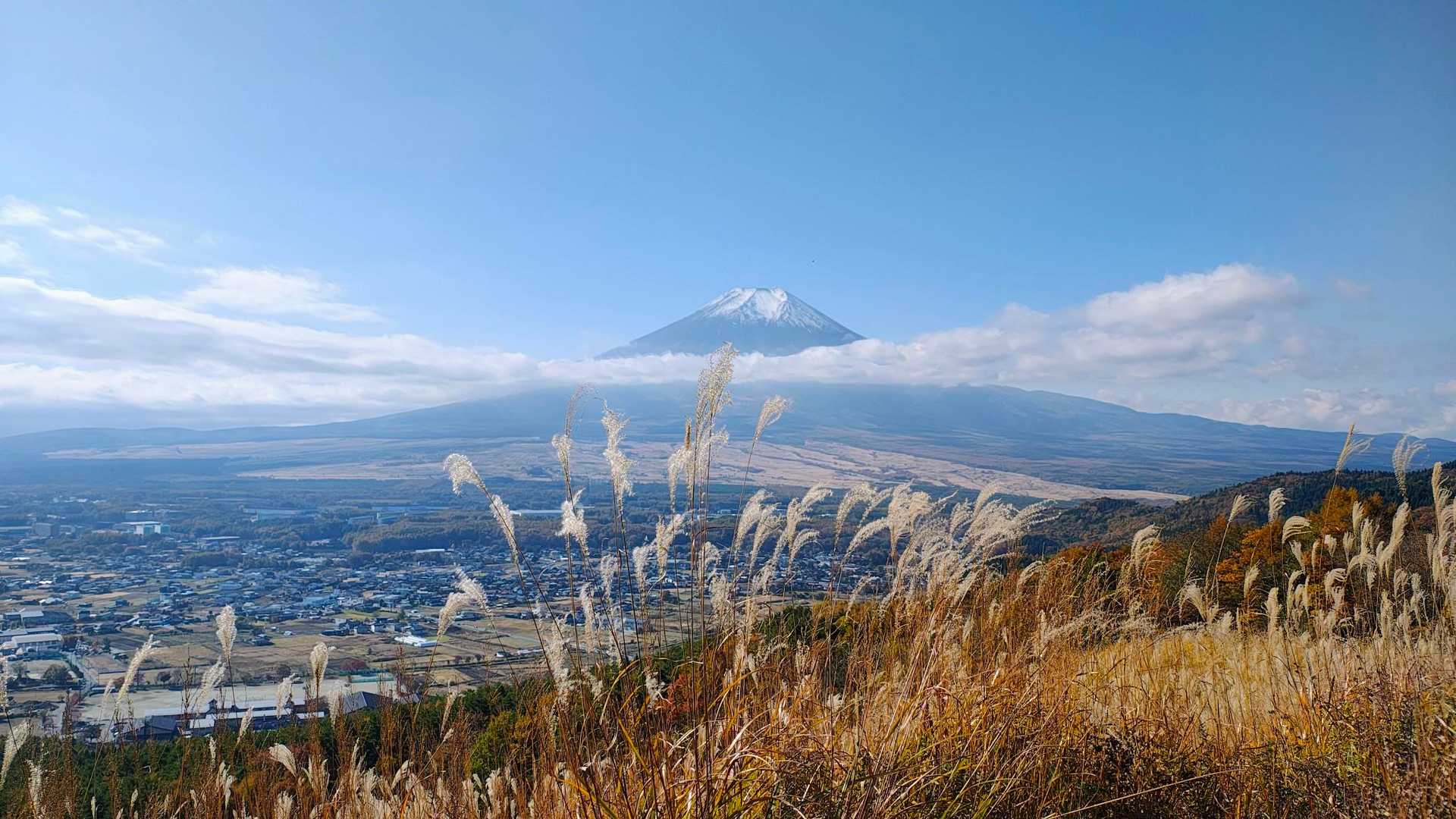 鳥居地峠-高座山-大権首峠-杓子山 周回コースの写真