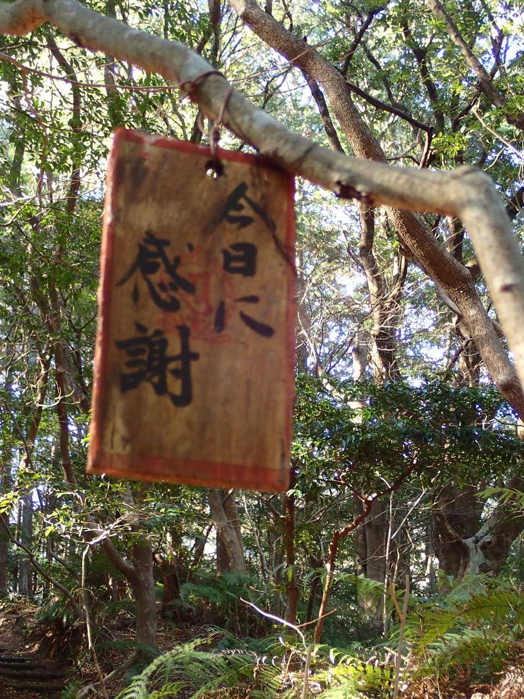 します🙏