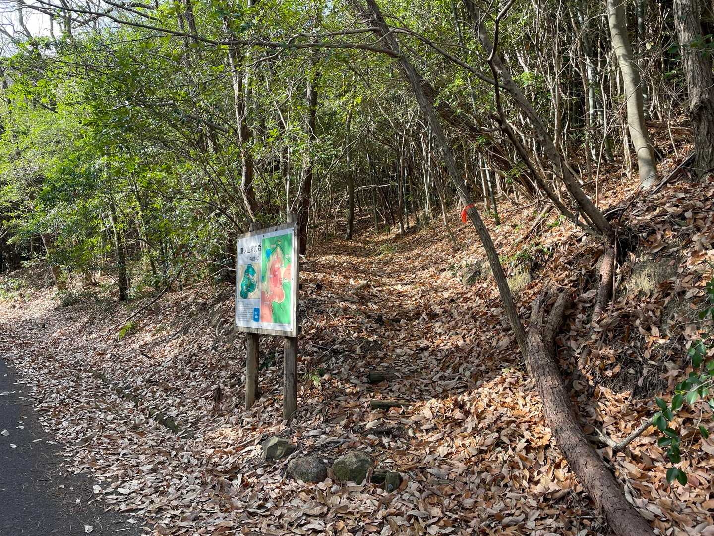 鞍部から少し登り平谷登山口