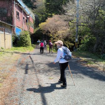すぐに着いちゃいますよ。
花を楽しみながらゆっくりね。