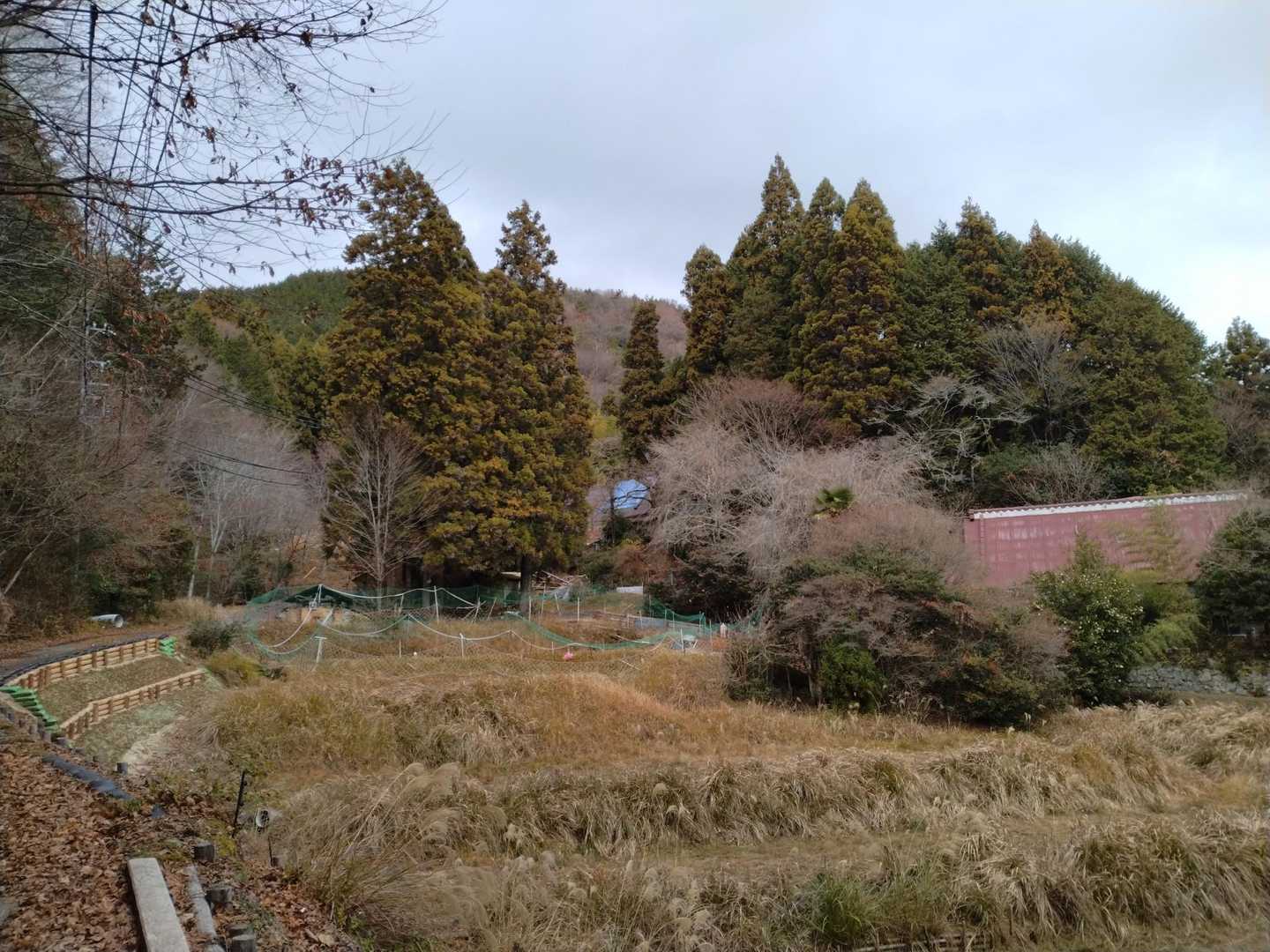 振り向くと民家横に十明山😀
山登りと言うよりウォーキング🚶でした🤗