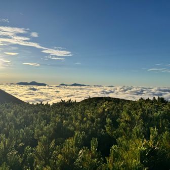 東大雪の山々が雲海の上に島のようだ。