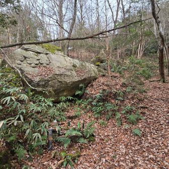 近くに東屋もありました