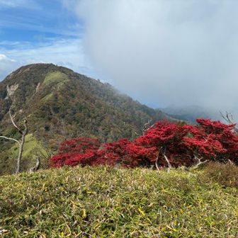 蛭ヶ岳と紅葉🍁一箇所凄く紅葉の綺麗な場所がありパシャリ。