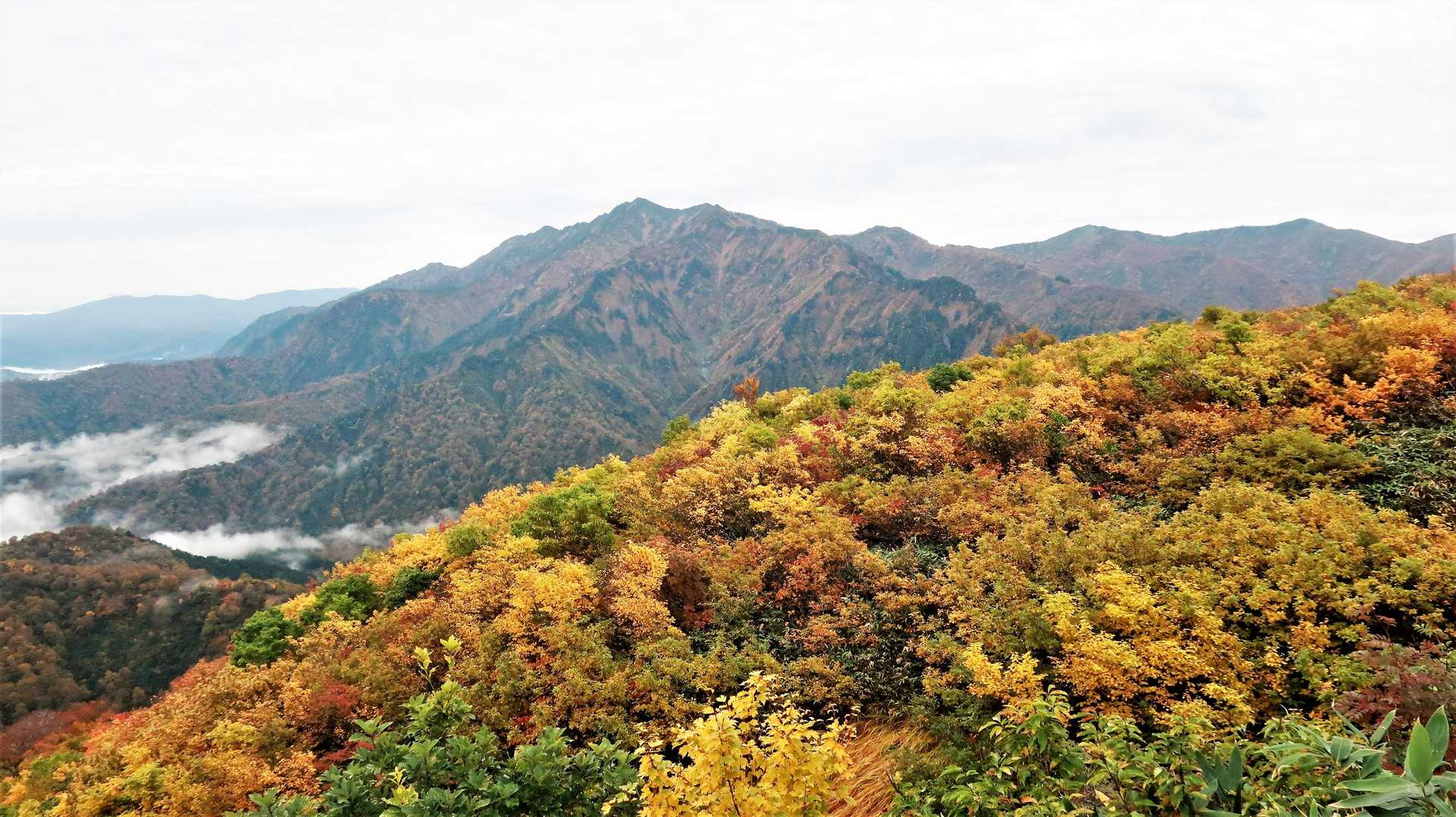 百草ノ池-明神峠-枝折峠 縦走コースの写真