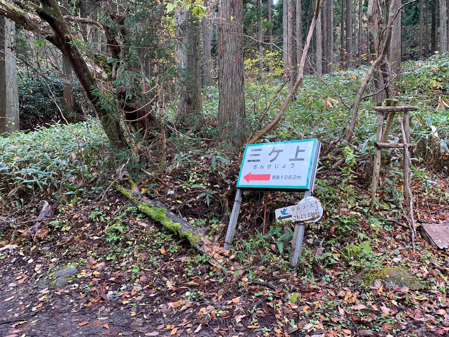 三ヶ上へ⛰🏃‍♂️💨