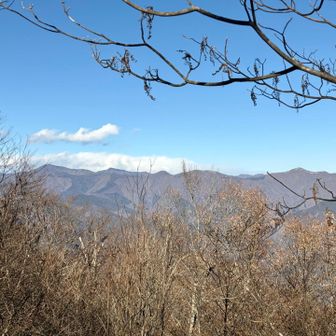 雲取山や鷹巣山見えました♪