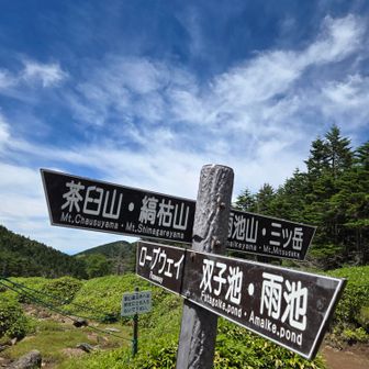 雨池峠

前に北横岳登って、ここまで来たことがありました。
ここから雨池へ行かずに、北八ヶ岳ロープウェイの山頂駅へ向かいます。
確か、🚻とごはん食べる場所があったような～♪
