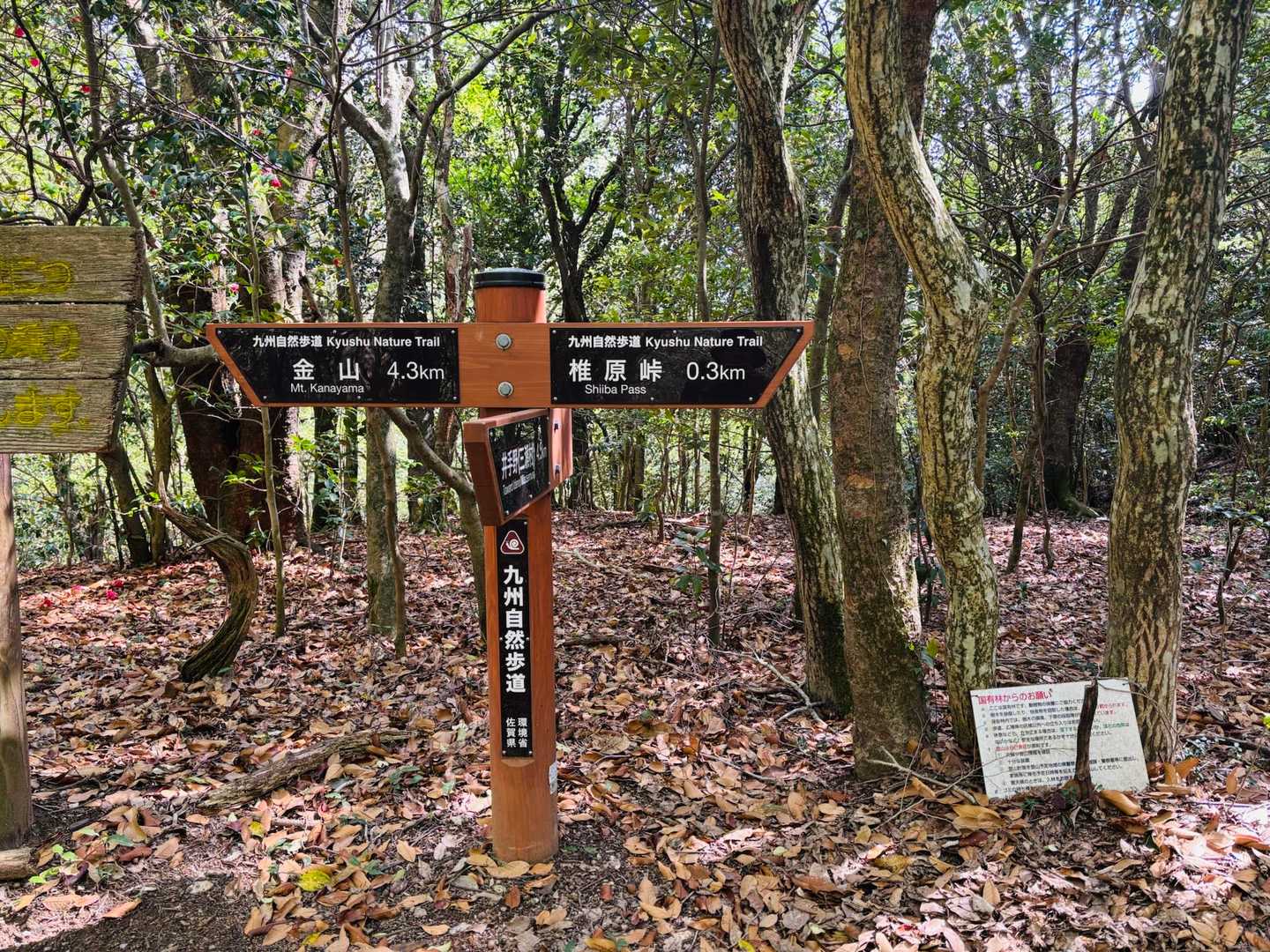 未踏の猟師岩山⛰️を目指します👈

行ってき🦍