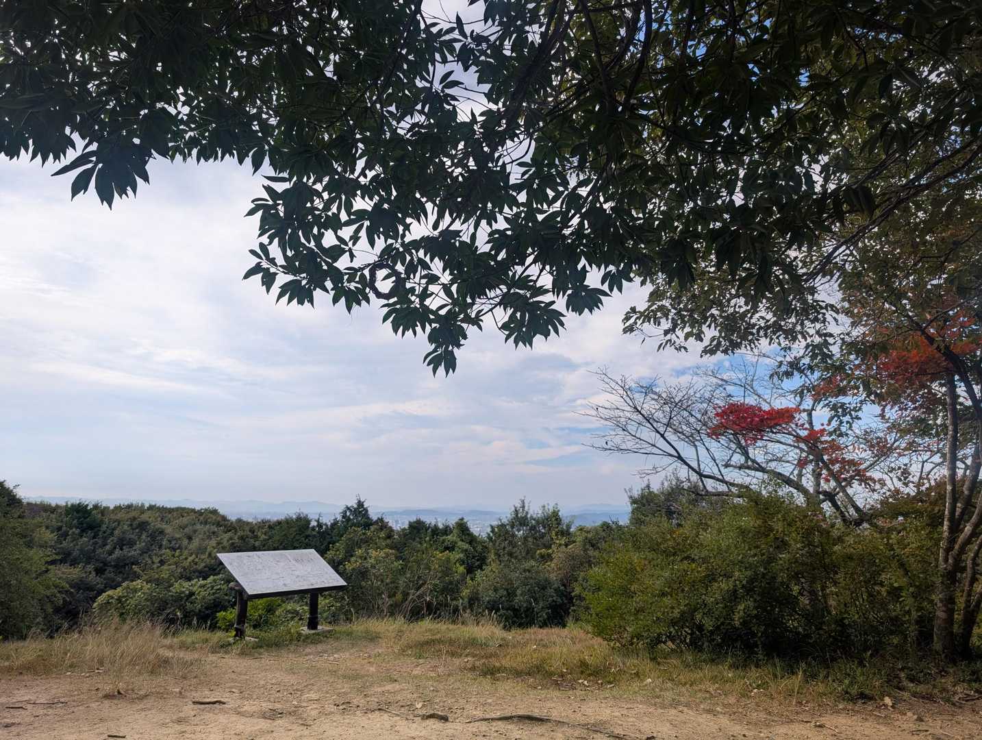 龍ノ口山 往復コースの写真