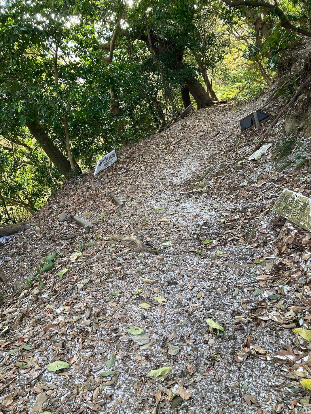 宮地山直下の分岐
とりあえず山頂へ。