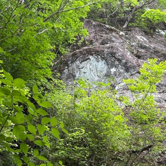 金泉寺に降ってる途中に梵字が彫られた岩🪨