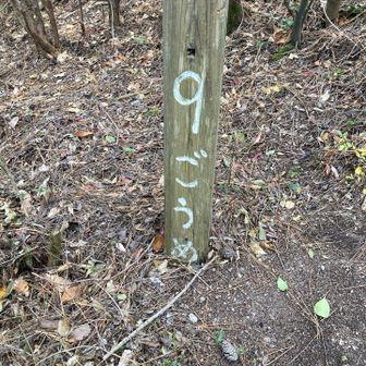 ９ごうめってことはあと少しですね🤏