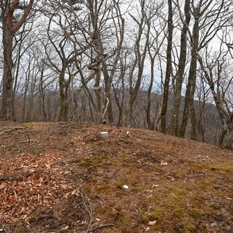 篠倉山山頂に着きました。先月ぶりです。

二等三角点　墾畑
標高568.56 m