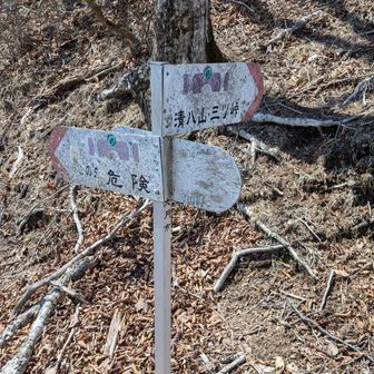 清八山への道の左に、巻き道のような道がありましたが、「この先危険」の字が。いったい何があるんだ…