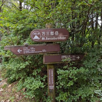 万三郎岳に到着。眺望はありません。