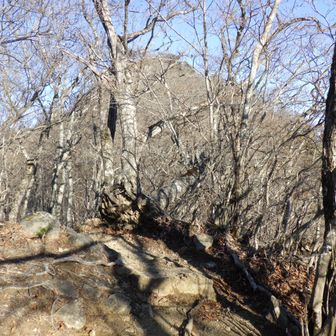 本社ヶ丸が目の前に見えるのだが・・・