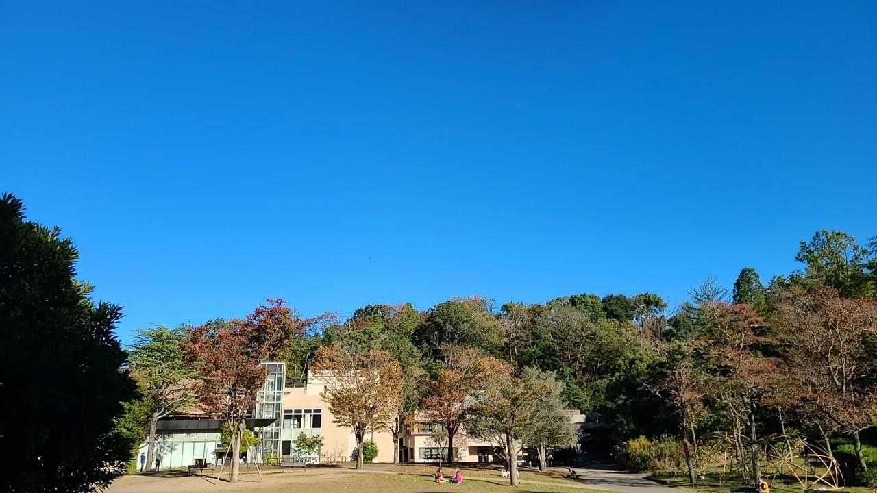 いい天気☀️