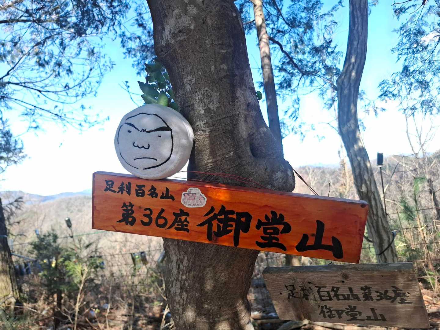 ４座目かと思ったら５座目。
途中あったらしい富士見山は気付かなかった😅