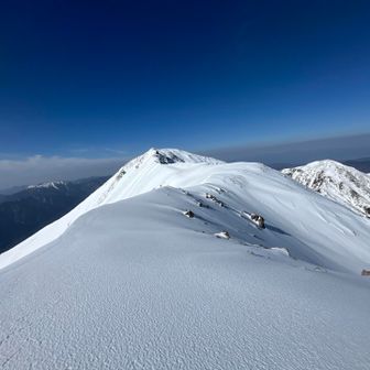 あれ、また。でもこの道が素敵😍