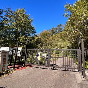 大松倉ゲートからしばらくロード歩き🐾