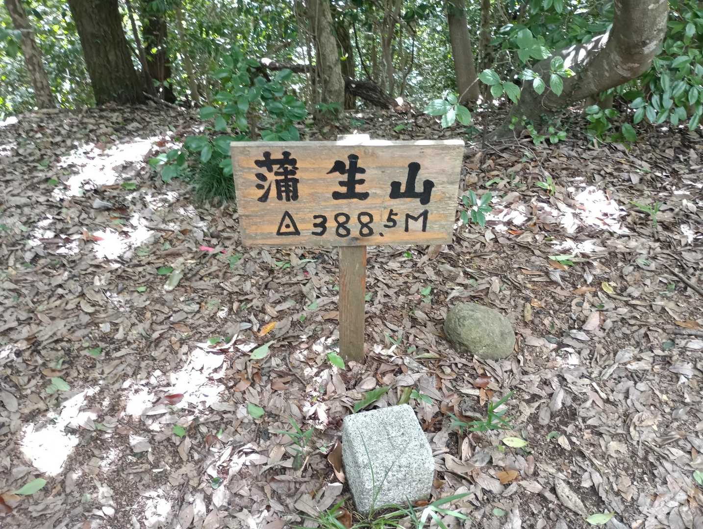 山頂到着🎶

下山は楽々コースで帰りました😃