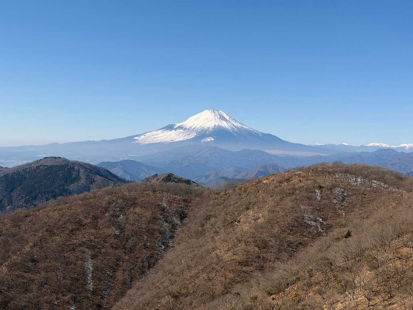 寄バス停-櫟山-栗ノ木洞-後沢乗越-鍋割山-小丸-大倉バス 縦走コースの写真