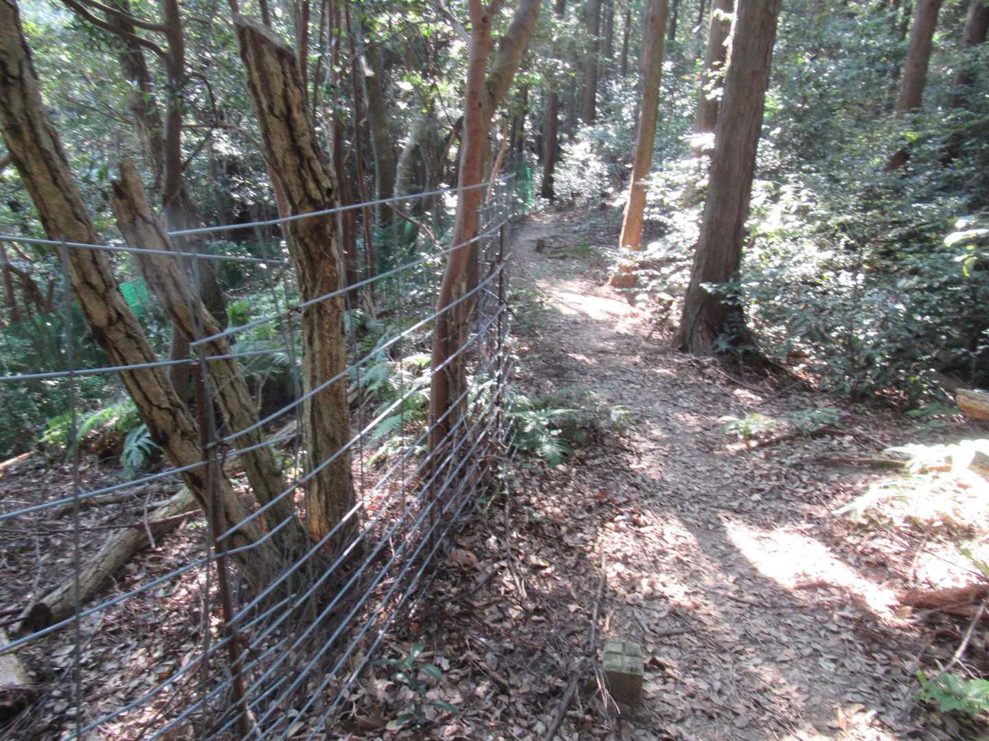 防獣ネットの横を・・・